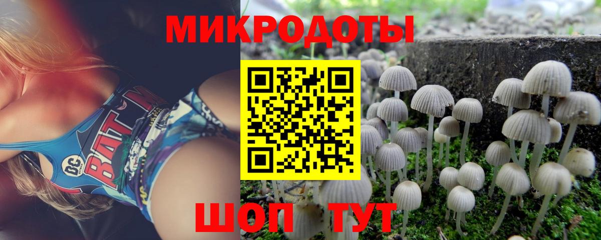 Галлюциногенные грибы Psilocybe  Вход с VPN  Анжеро-Судженск 
